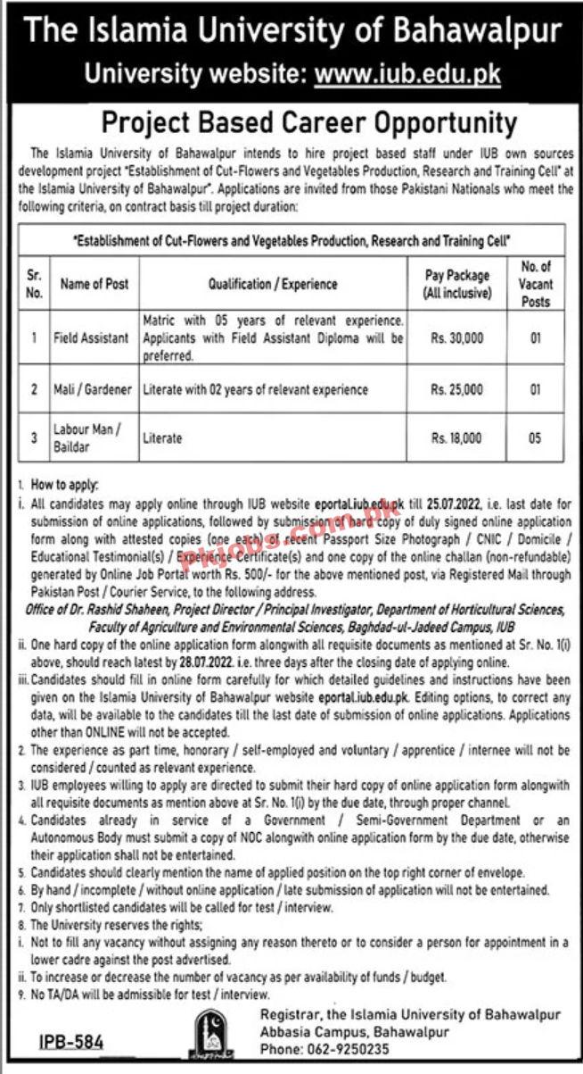 Jobs in The Islamia University of Bahawalpur