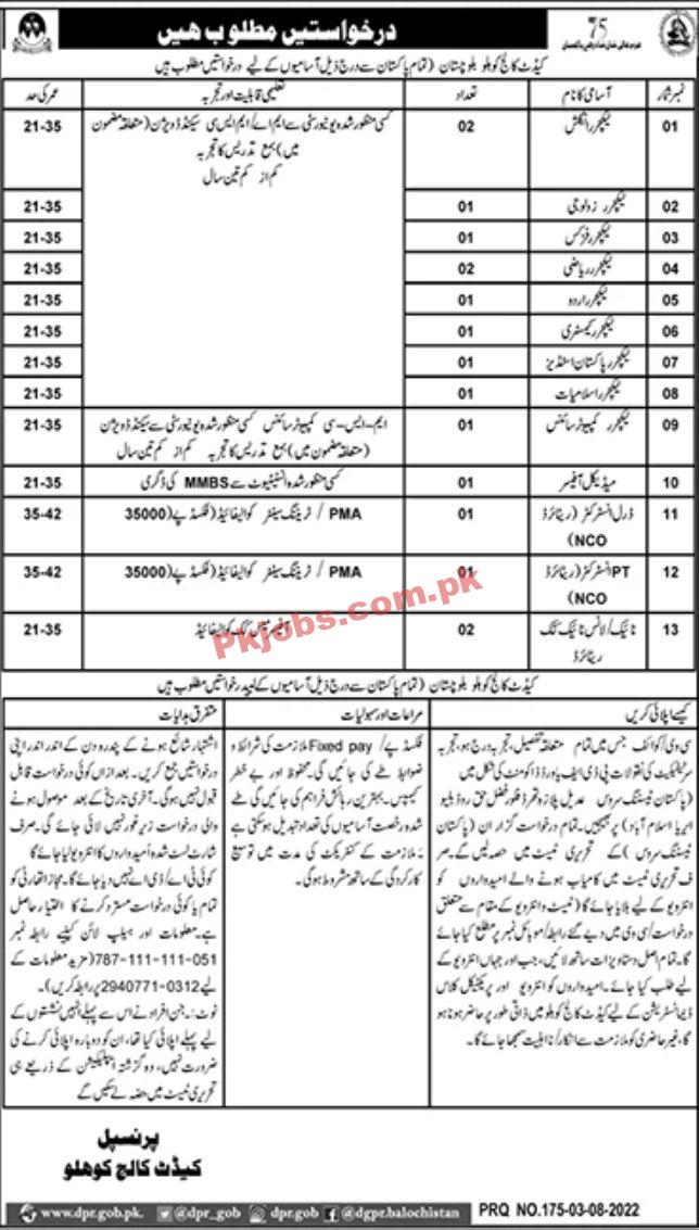 Jobs in Cadet College Kohlu