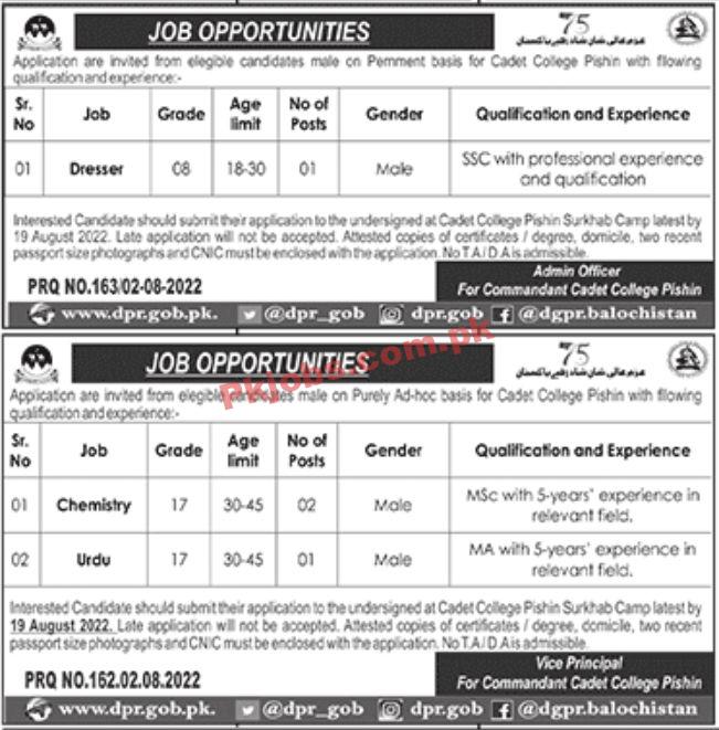 Jobs in Cadet College Pishin