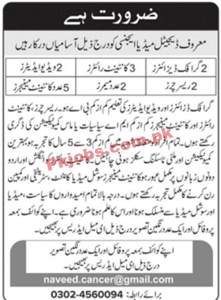 Jobs in Digital Media Agency