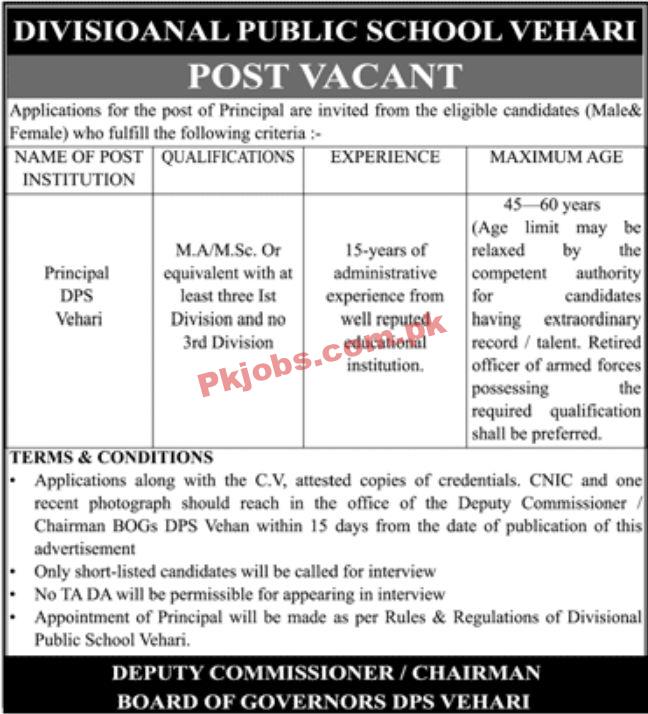 Jobs in Divisional Public School DPS Vehari