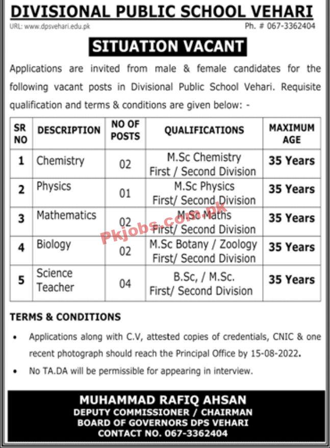 Jobs in Divisional Public School Vehari