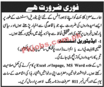 Jobs in Jang Lahore Office