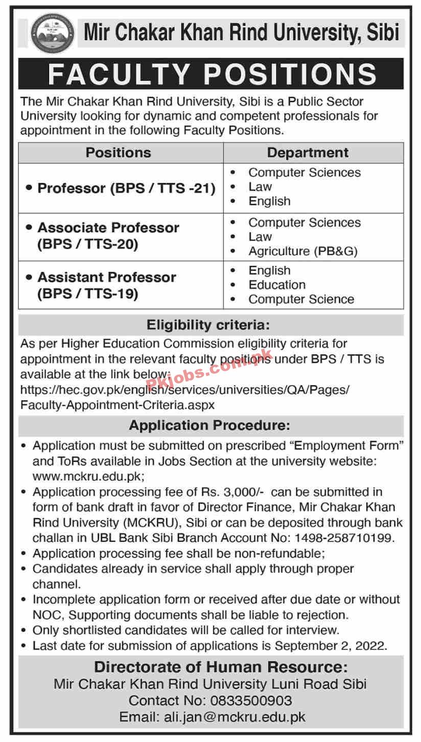 Jobs in Mir Chakar Khan Rind University Sibi