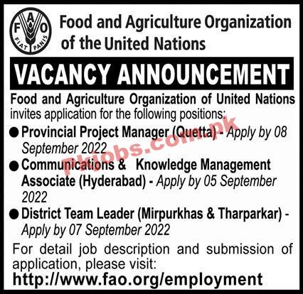 Jobs in Food and Agriculture Organization of the United Nations