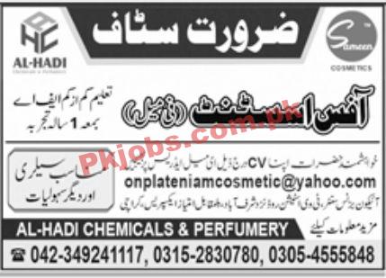 Jobs in Al Hadi