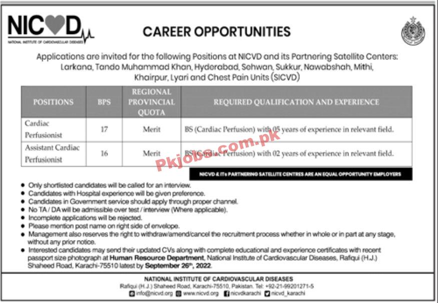 Jobs in NICVD