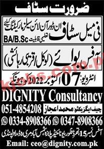 Jobs in Dignity Consultancy