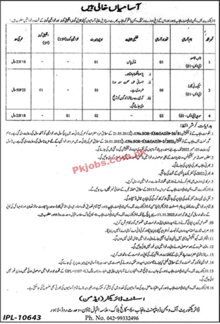 Jobs in Directorate of Women Development Punjab Lahore