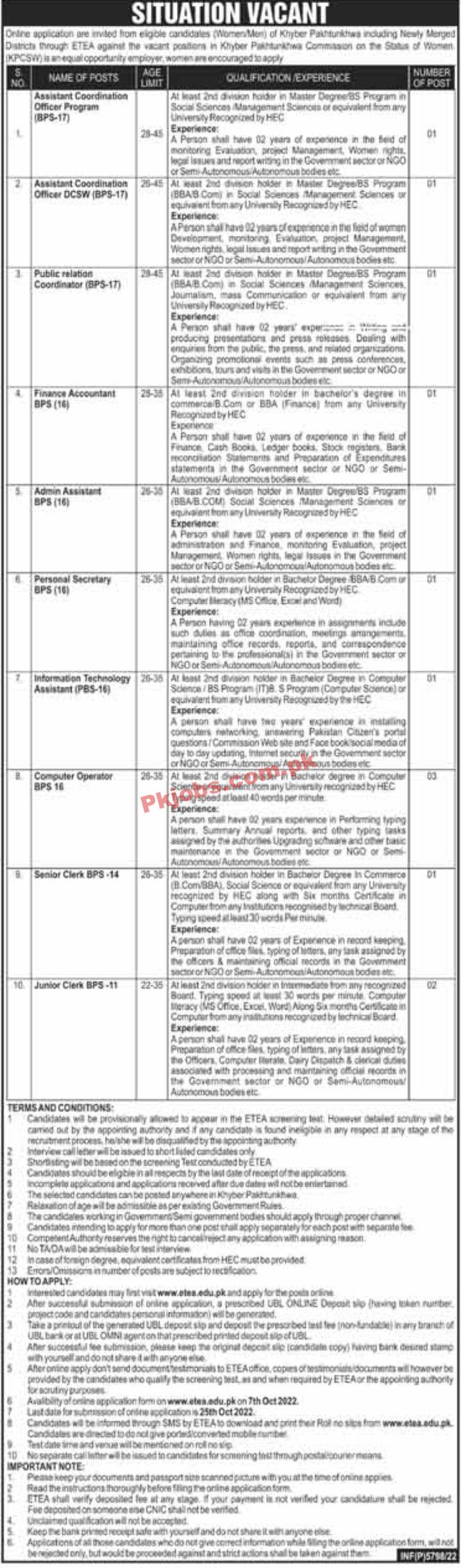 Jobs in Khyber Pakhtunkhwa Commission on the Status of Women