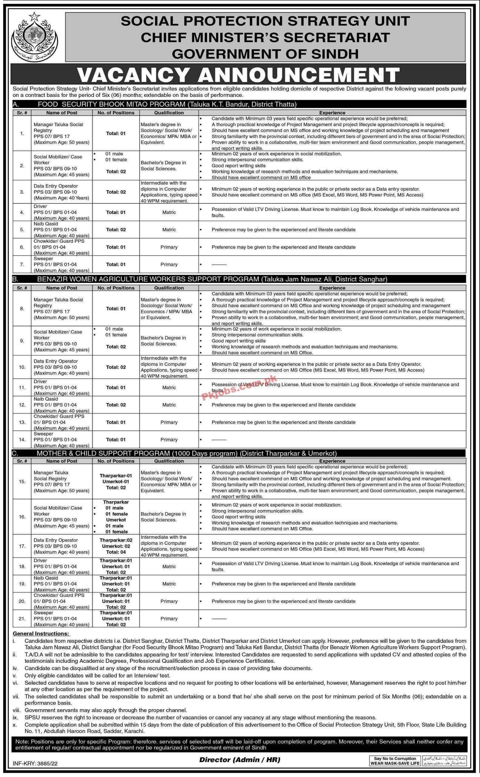 Jobs in Social Protection Strategy Unit