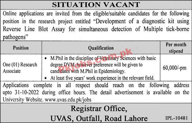 Jobs in UVAS