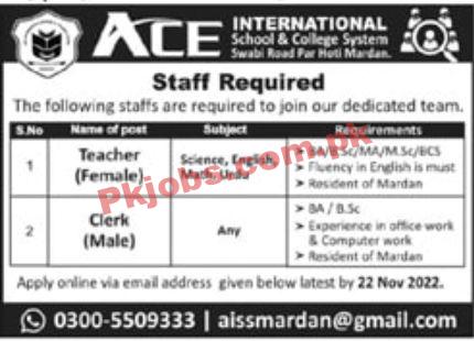 Jobs in ACE International School & College System