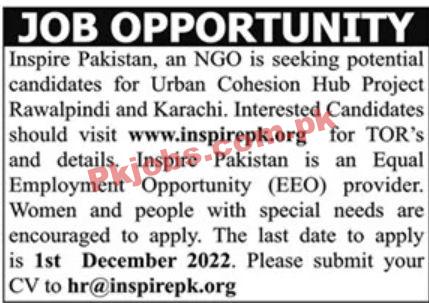 Jobs in Inspire Pakistan NGO