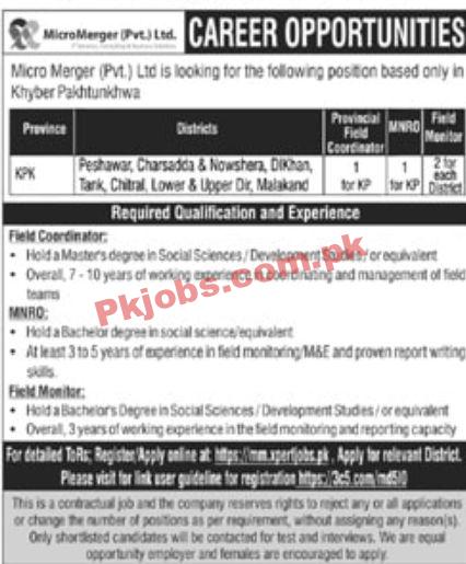 Jobs in Micro Merger Pvt Ltd