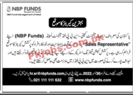 Jobs in NBP Funds