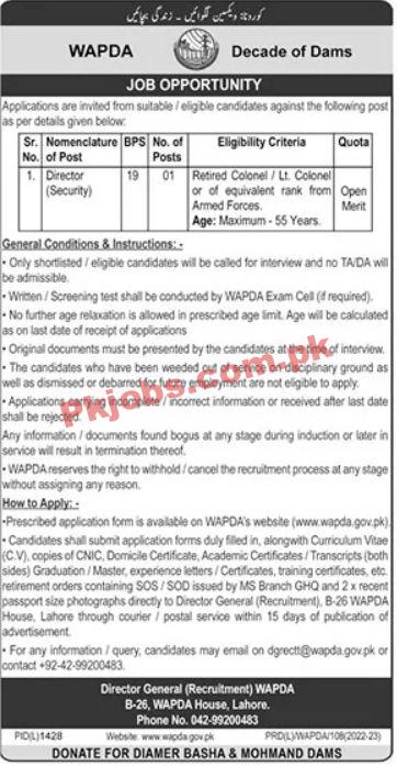 Jobs in WAPDA