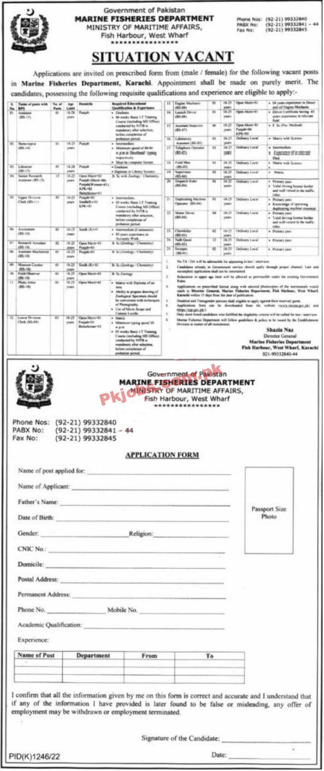 MoMA Jobs 2022 | Marine Fisheries Department Headquarters Announced Latest Recruitment Jobs 2022