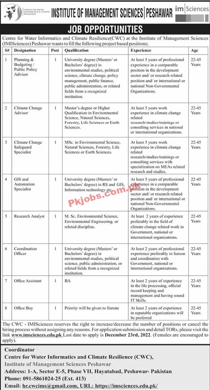 Jobs in Institute of Management Sciences Peshawar