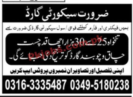 Jobs in Private Factory