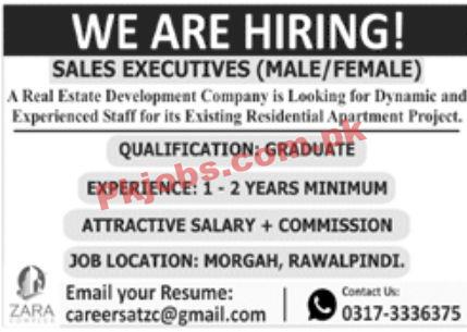 Jobs in Real Estate Development Company