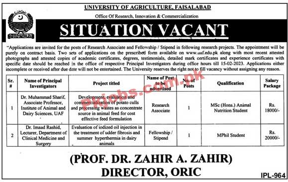 Latest University of Agriculture UAF Jobs 2023