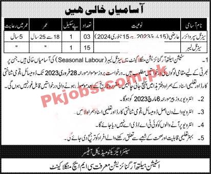 SHO Jobs 2023 | Station Health Organization Headquarters Announced Latest Recruitments