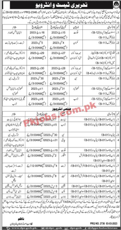 Directorate of Youth Affairs Head Office Announced Latest Recruitments 2023