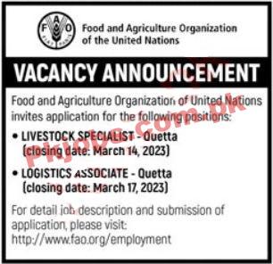 FAO Food & Agriculture Organization Head Office Announced Latest Recruitments 2023