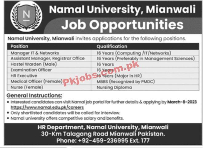 Jobs in Namal University