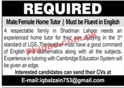 Jobs in Private Jobs in Lahore February 2023