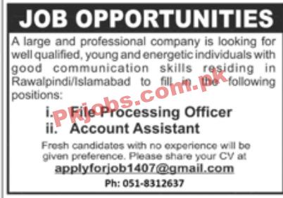 Jobs in Professional Company