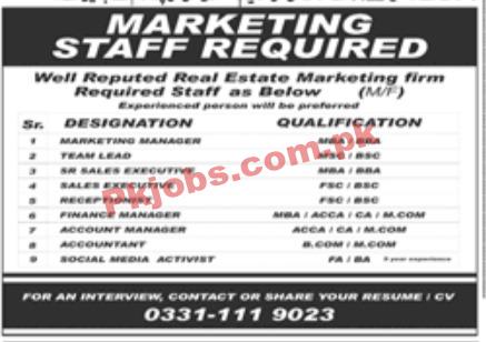 Jobs in Real Estate Marketing Firm