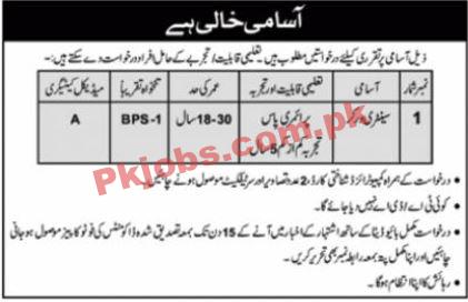 Latest PSO Public Sector Organization Recruitments Jobs 2023