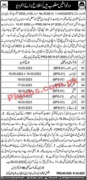 Livestock Department Jobs 2023 | Livestock & Dairy Development Department Head Office Announced Latest Recruitments