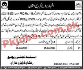 Revenue Department Patwari Jobs 2023 | Revenue Department Head Office Announced Latest Recruitments Jobs 2023