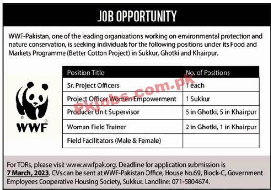 WWF Jobs 2023 | WWF Pakistan Head Office Announced Latest Recruitments