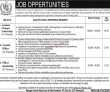 Jobs in Public Sector Organization