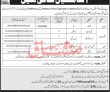 Jobs in Chip Training & Consulting Private Limited