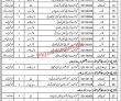Jobs in Elementary & Secondary Education Department