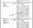 Jobs in Government of Pakistan Ministry of Railways