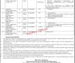 Jobs in Ministry of Human Rights