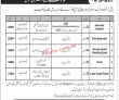 Jobs in Nayatel Fiber Networks
