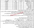 Jobs in District Education Authority Chakwal