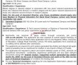 Jobs in University of Education Lahore