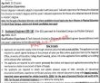 Jobs in University of Education Lahore