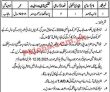 Jobs in Government of the Punjab