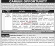 Jobs in TransPeshawar