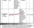 Jobs in Project Management Unit