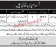 Jobs in 310 MT Company